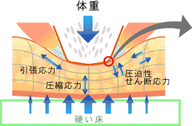 図